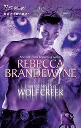 Cover of From the Mists of Wolf Creek