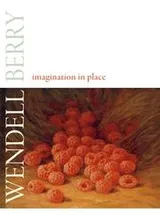 Cover of Imagination in place