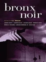Cover of Bronx Noir