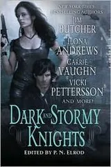 Cover of Dark and stormy knights