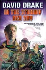 Cover of In the Stormy Red Sky (RCN)