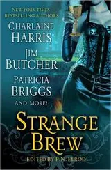 Cover of Strange Brew