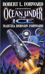 Cover of Ocean Under the Ice