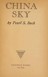 Cover of China sky