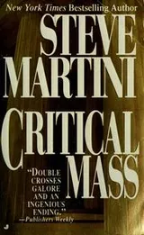 Cover of Critical mass