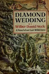 Cover of Diamond wedding