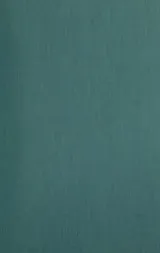 Cover of Eagles where I walk