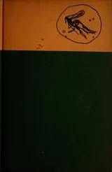Cover of Dragons in amber