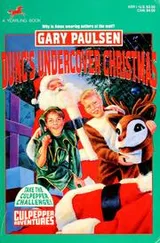 Cover of Dunc's undercover Christmas