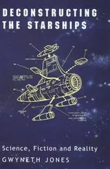 Cover of Deconstructing the Starships