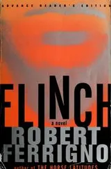 Cover of Flinch
