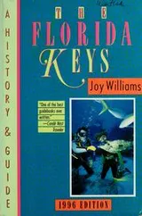 Cover of The Florida keys