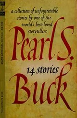 Cover of Fourteen stories