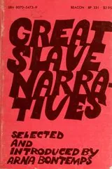 Cover of Great slave narratives