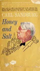 Cover of Honey and salt