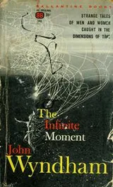 Cover of The infinite moment