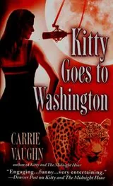 Cover of Kitty goes to Washington