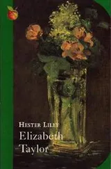 Cover of Hester Lilly, and other stories
