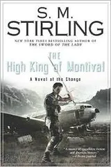 Cover of The High King of Montival