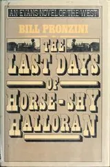 Cover of The last days of Horse-Shy Halloran