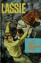 Cover of Lassie