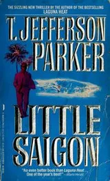 Cover of Little Saigon