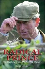 Cover of Radical Prince