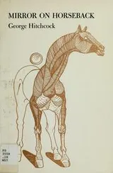 Cover of Mirror on horseback