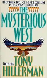Cover of The mysterious West