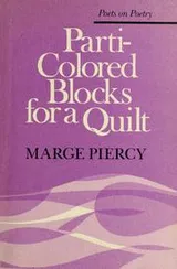 Cover of Parti-colored blocks for a quilt