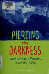 Cover of Piercing the darkness