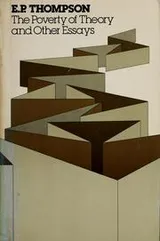 Cover of The poverty of theory and other essays