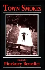 Cover of Town smokes