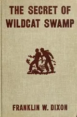 Cover of The Secret of Wildcat Swamp