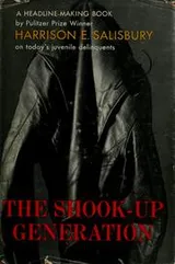 Cover of The shook-up generation
