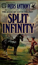 Cover of Split infinity