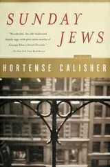 Cover of Sunday Jews