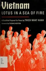 Cover of Vietnam: lotus in a sea of fire