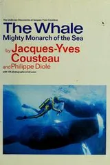 Cover of Nos amies les baleines