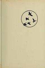 Cover of Wild travelers