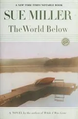 Cover of The world below