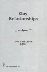 Cover of Gay Relationships (Haworth Series in Gay & Lesbian Studies) (Haworth Series in Gay & Lesbian Studies)