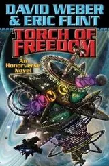 Cover of Torch of freedom