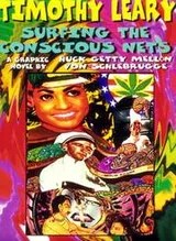 Cover of Surfing the conscious nets