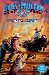 Cover of Hook 'em, Snotty!