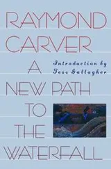 Cover of A new path to the waterfall