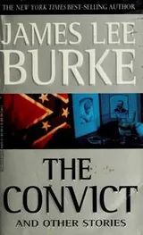 Cover of The convict