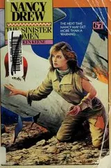 Cover of The sinister omen