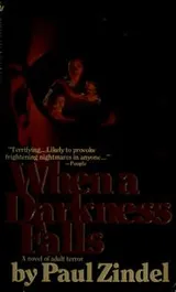 Cover of When a darkness falls