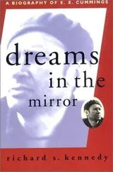 Cover of Dreams in the mirror